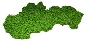 Mechový obraz – mapa Slovenska Velikost: 135 x 67cm
