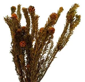 Stabilizovaná kytice Tortum – oranžová