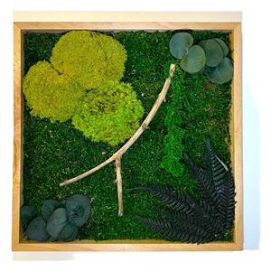 Mechový obraz s rostlinami 3D - čtverec Velikost: 60x60cm