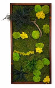 Mechový obraz s rostlinami 3D dark Druh rámu: 90x30cm