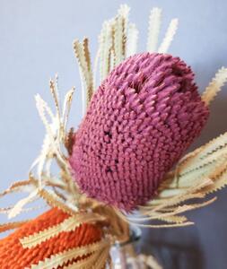 Sušené květiny - Banksia - růžová