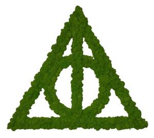 Mechový obraz - Harry Potter Velikost rámu: 33x29cm
