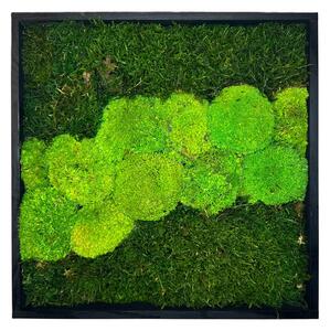Mechový obraz Quad Velikost: 20x20cm