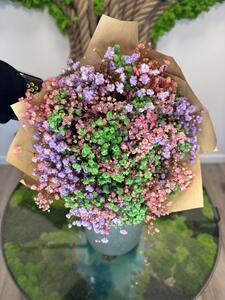 Stabilizované kytice Gypsophily hodnota: růžová zelená a fialová