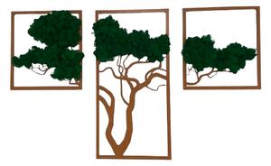 Mechový obraz - strom TRIO Velikost rámu: 78cm x 49cm