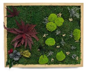 Mechový obraz – Paradise II Velikost rámu: 50x40cm