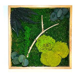 Mechový obraz s rostlinami 3D - čtverec Velikost: 20x20cm