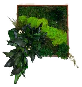 Mechový obraz s rostlinami 3D - čtverec Velikost: 20x20cm