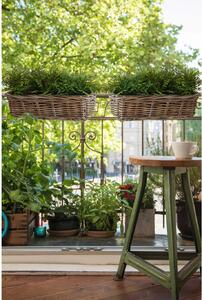 Balkónový truhlík SACADA, ratan, délka 46 cm, natur