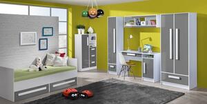 Casarredo Dětská postel GULLIWER 11, 90x200 s úložným prostorem, výběr barev | barva: dom-popel-lesk,Vyberte si barvu úchytu:: dom-uch-fialová
