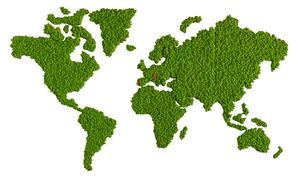 Mapa světa z Islandského mechu - 230 x 125 - May green