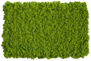 Flexi panel z islandského mechu - May green 2ks 100x60