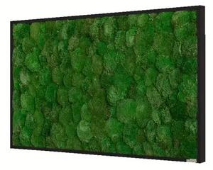 Mechový obraz z kopečkového mechu 100x60, Dřevěný rám (černý)