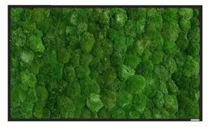 Mechový obraz z kopečkového mechu 100x60, Dřevěný rám (černý)
