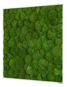 Mechový obraz z kopečkového mechu 80x80, Dřevěný rám (bílý)