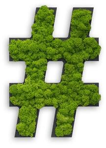 Piktogram "hashtag" z Islandského mechu