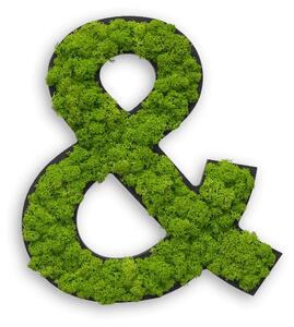 Piktogram "&" z Islandského mechu