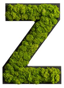 Mechová abeceda z Islandského mechu, Z