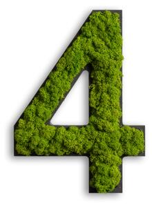 Mechová číslice z Islandského mechu, 4