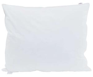 Polštář s polštářem 2 pcs Bílá 60 x 70 cm Peří
