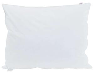 Polštář s polštářem 2 pcs Bílá 60 x 80 cm Peří