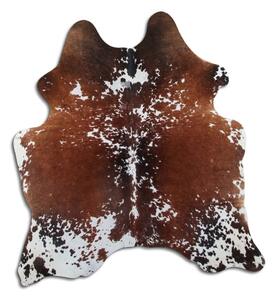 ARCTIC FUR Hovězí předložka 100% příroda