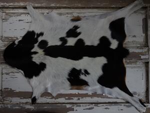 ARCTIC FUR Kozí kůže ALPS 6076 100% příroda