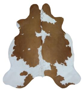 ARCTIC FUR Hovězí předložka 100% příroda