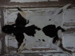 ARCTIC FUR Kozí kůže ALPS 6074 100% příroda