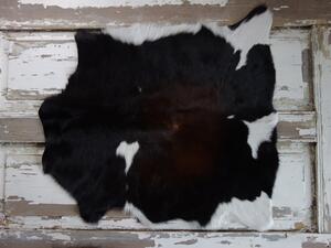 ARCTIC FUR Pravá kůže z teletiny 6070 100% příroda