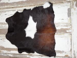 ARCTIC FUR Pravá kůže z teletiny 6068 100% příroda