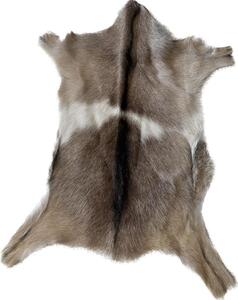 ARCTIC FUR Kozinka ALPS 6080 100% příroda