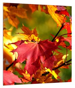 Obraz podzimních listů (30x30 cm)