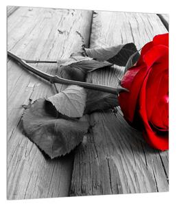 Obraz rudé růže (30x30 cm)
