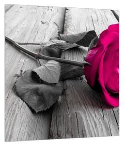 Obraz růžové růže (30x30 cm)