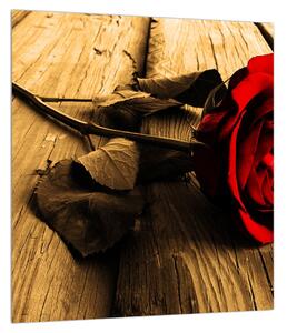 Obraz růže (30x30 cm)