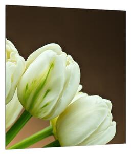 Obraz tulipánů (30x30 cm)