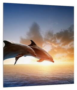 Obraz delfínů (30x30 cm)