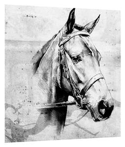 Obraz - portrét koně (30x30 cm)