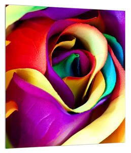 Barevný obraz abstraktní růže (30x30 cm)