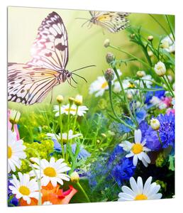Obraz letních květů s motýlem (30x30 cm)