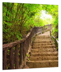 Letní obraz schodů v přírodě (30x30 cm)