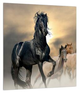 Obraz koně (30x30 cm)