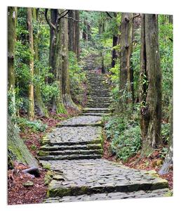 Obraz kamenných schodů v lese (30x30 cm)