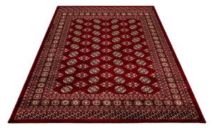 Kusový koberec My Ariana 880 red 100x300 cm