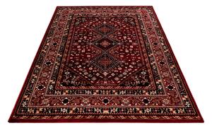 Kusový koberec My Ariana 882 red 80x150 cm
