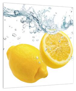 Obraz citrónů (40x40 cm)