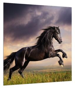 Obraz koní (40x40 cm)