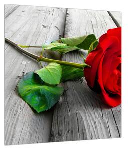 Obraz červené růže (40x40 cm)