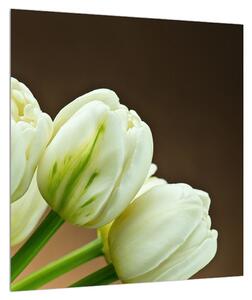 Obraz tulipánů (40x40 cm)